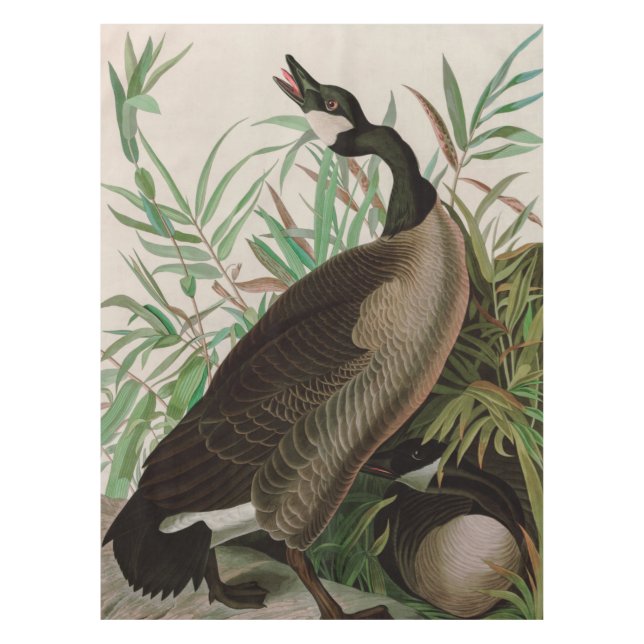 Canada Goose Birds of America Audubon Print Tablecloth (Front)
