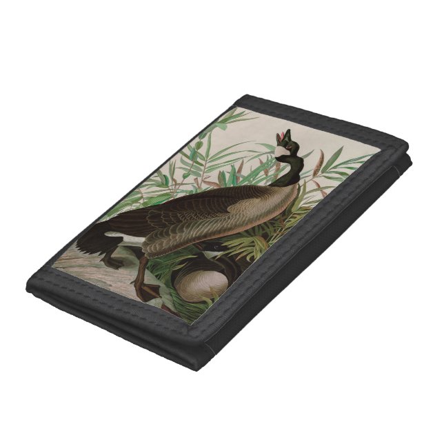 Canada Goose Birds of America Audubon Print Trifold Wallet (Bottom)