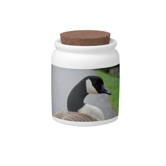 Canada goose candy jar (Front)