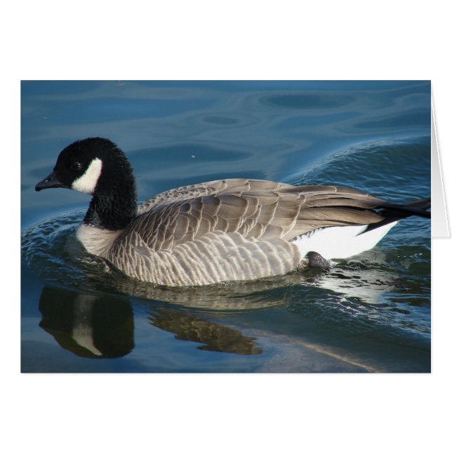 Canada Goose Cards (Front Horizontal)