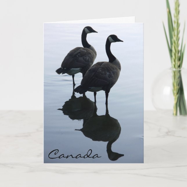 Canada Goose Cards Canada Geese Greeting Cards (Front)
