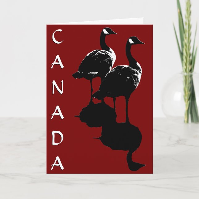 Canada Goose Cards Canada Geese Greeting Cards (Front)
