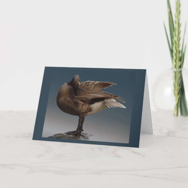 Canada Goose Cards Canada Geese Greeting Cards (Front)