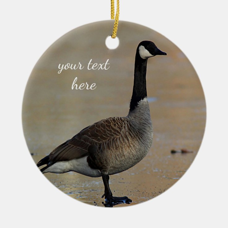 Canada goose ceramic ornament Zazzle