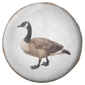 Canada Goose Chocolate Covered Oreo by PixLifeBirds at Zazzle