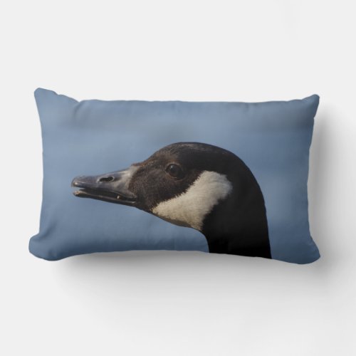 Canada Goose Cushion