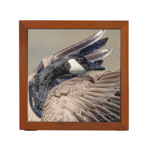 Canada Goose Desk Organizer