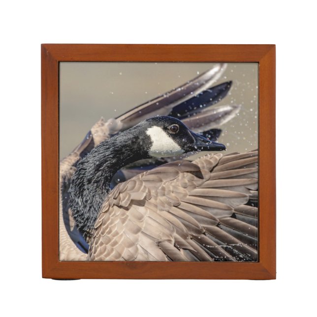 Canada Goose Desk Organizer (Front)