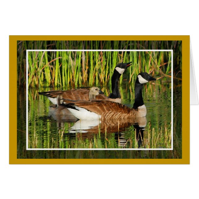 Canada Goose Family Blank Card (Front Horizontal)