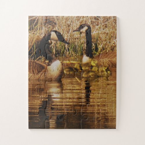 Canada Goose Family Cute Babies Goslings Geese Jigsaw Puzzle
