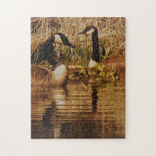 Canada Goose Family Cute Babies Goslings Geese Jigsaw Puzzle