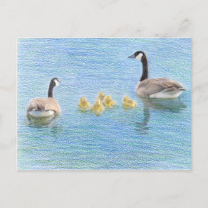 Canada Goose Family Fine Art Nature Postcard
