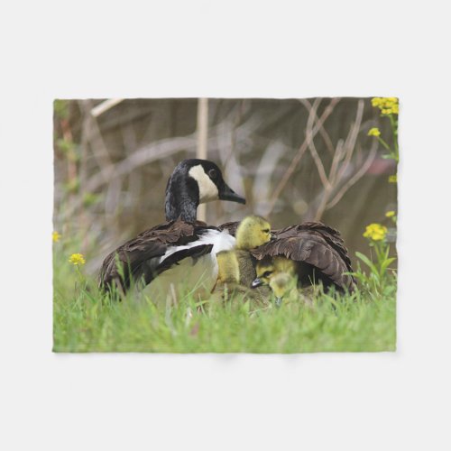 Canada goose family fleece blanket