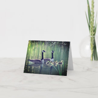 Canada Goose Family Nature Note Card