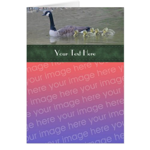 Canada Goose Family Nature Photo Card