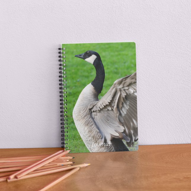 Canada Goose Flapping Wings Photo Notebook (In Situ)