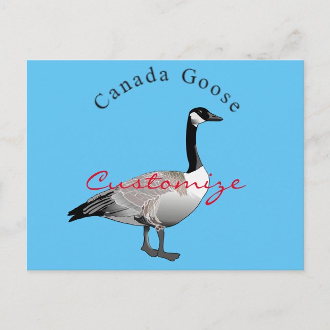 Canada Goose Gander Thunder_Cove Postcard (Front)