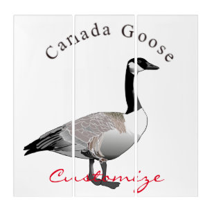 Canada Goose Gander Thunder_Cove Triptych