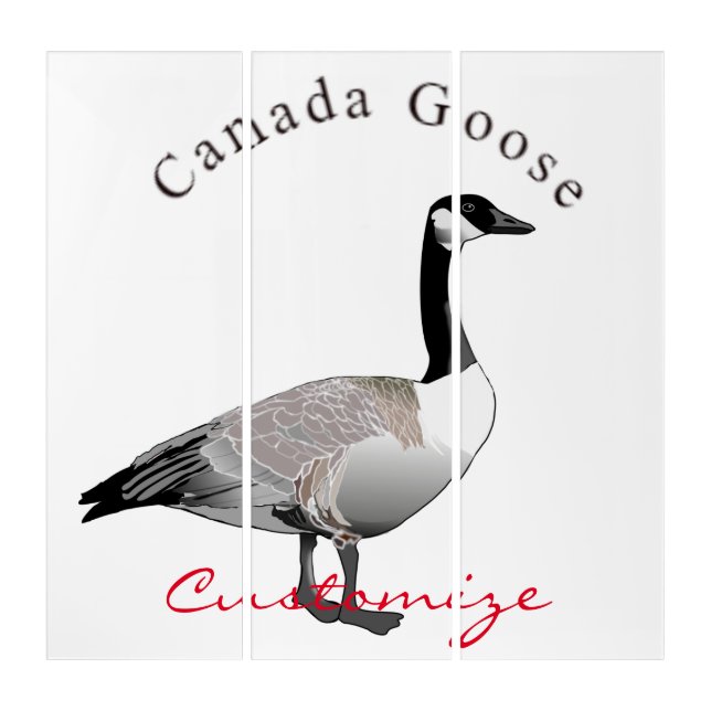 Canada Goose Gander Thunder_Cove Triptych (Front)