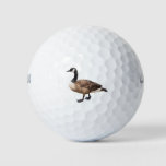Canada Goose Golf Balls at Zazzle