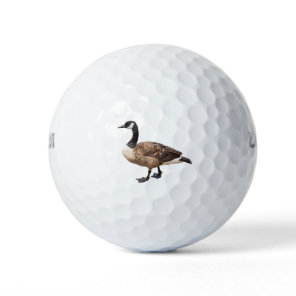 Canada Goose Golf Balls