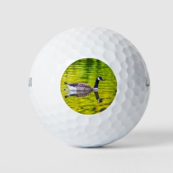 Canada Goose Golf Balls by PixLifeBirds at Zazzle
