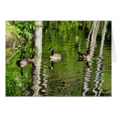 (Canada) Goose Green (Front Horizontal)