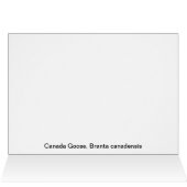 (Canada) Goose Green Cards (Inside Horizontal (Top))