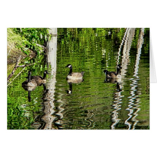 (Canada) Goose Green Cards (Front Horizontal)