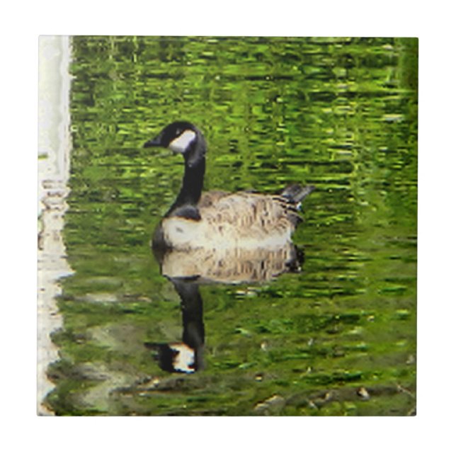 (Canada) Goose Green Ceramic Tile (Front)