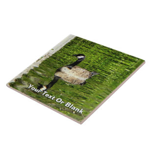 (Canada) Goose Green Ceramic Tile