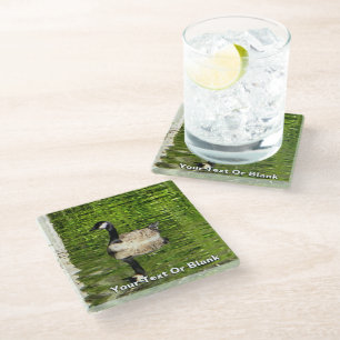 (Canada) Goose Green Glass Coaster