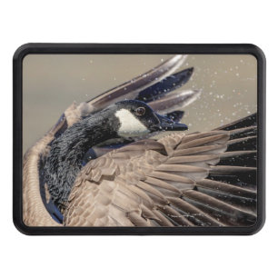 Canada Goose Hitch Cover