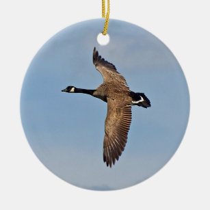 Canada Goose in Flight Ceramic Ornament
