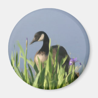 Canada Goose Irises Animal Art Magnet