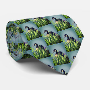 Canada Goose Irises Nature Art Blue Neck Tie
