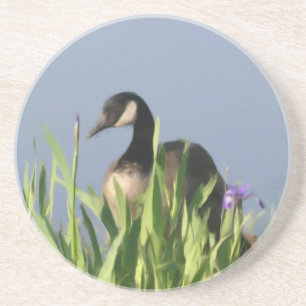 Canada Goose Irises Painting Animal Coaster