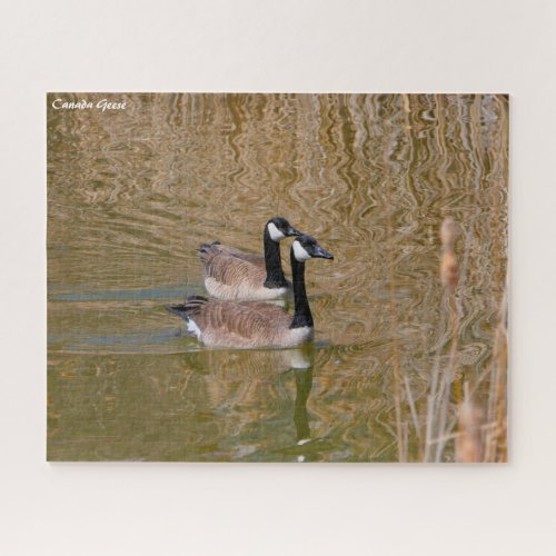 Canada Goose Jigsaw Puzzle