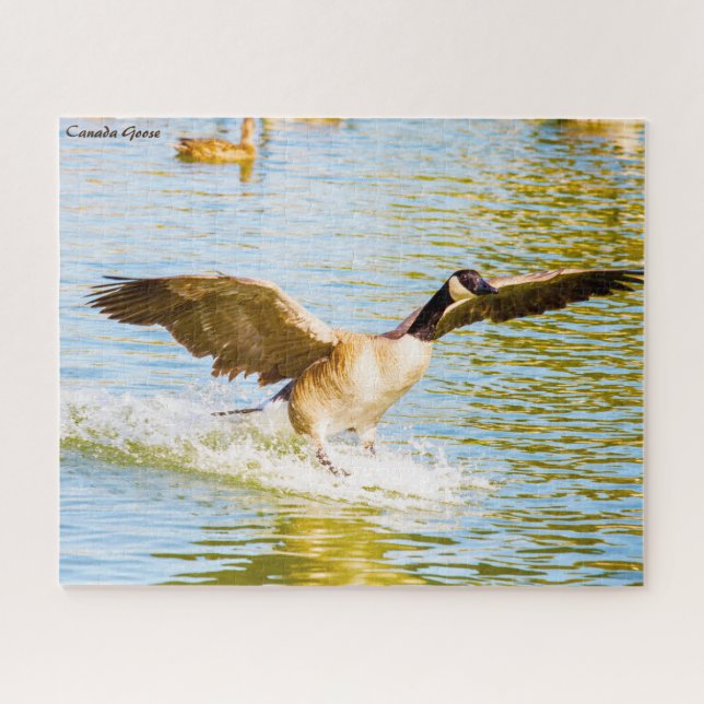 Canada Goose Jigsaw Puzzle (Horizontal)