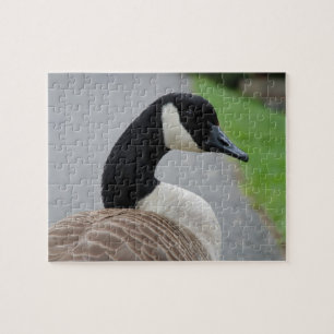 Canada goose jigsaw puzzle