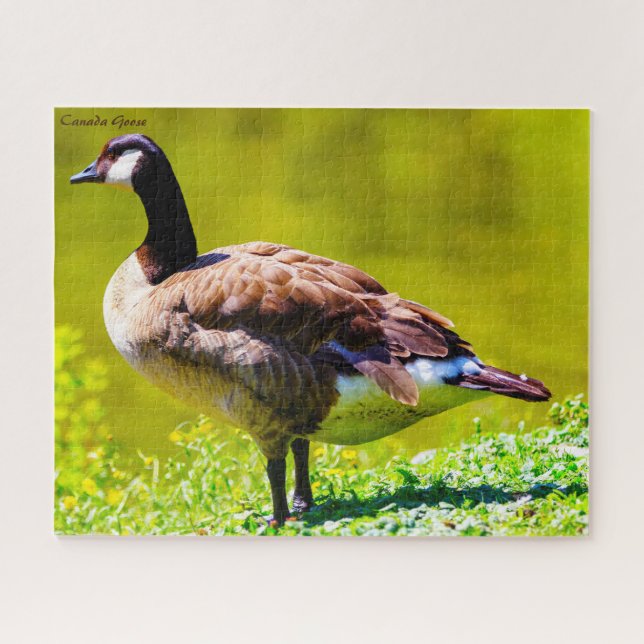 Canada Goose Jigsaw Puzzle (Horizontal)