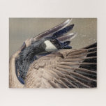 Canada Goose Jigsaw Puzzle at Zazzle