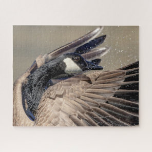 Canada Goose Jigsaw Puzzle