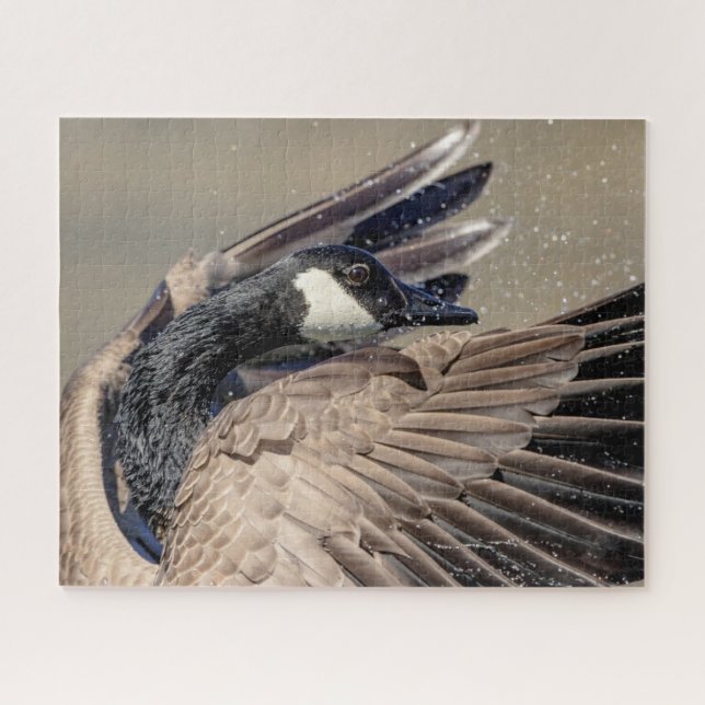 Canada Goose Jigsaw Puzzle (Horizontal)