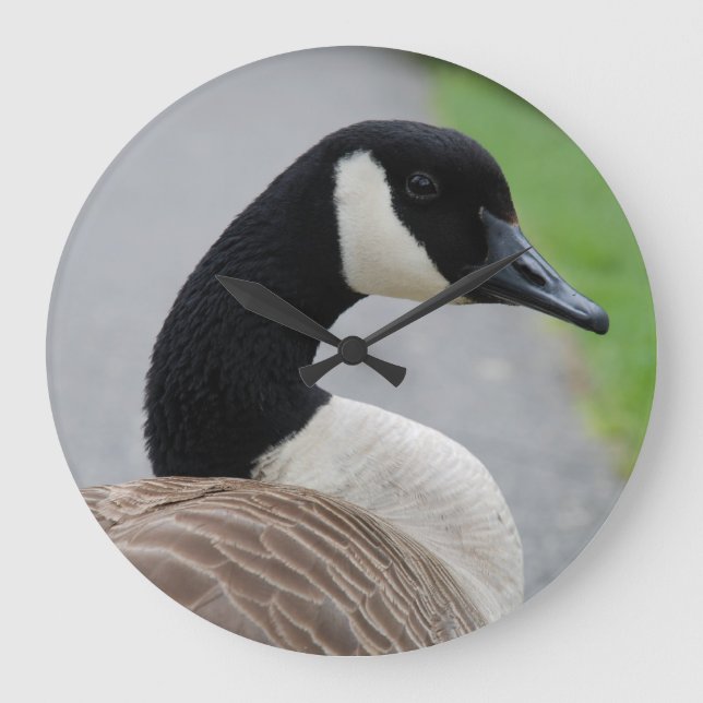 Canada goose large clock (Front)