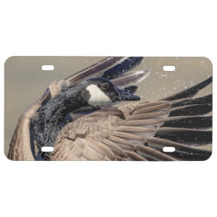 Canada Goose License Plate