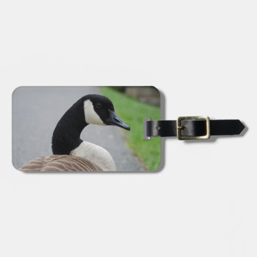 Canada goose luggage tag