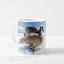 Canada Goose Matthew 6:26 KJV