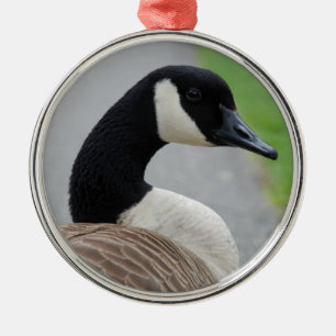 Canada goose metal ornament