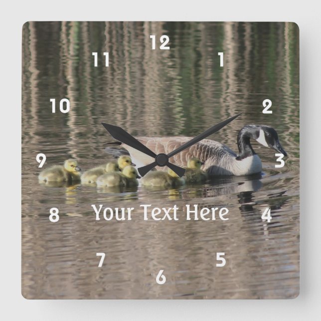 Canada Goose Mom And Babies Personalized Square Wall Clock (Front)